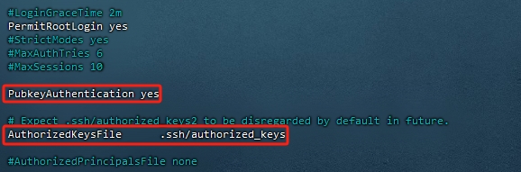 图片[2]-Debian系统设置SSH密钥登陆-踩坑日记